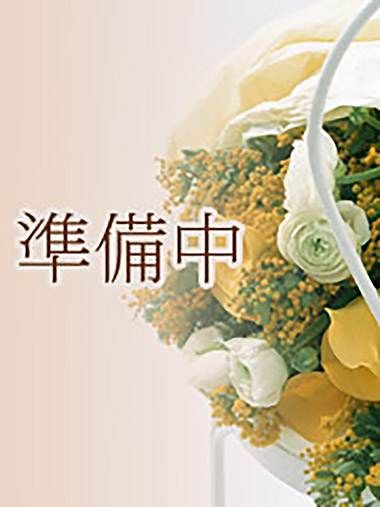 ハル 24歳